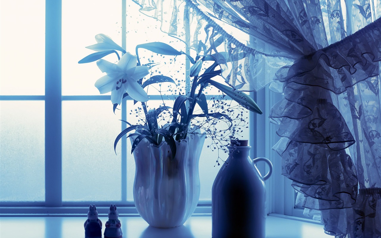 Vnitřní Still Life Wallpaper Album (2) #2 - 1280x800