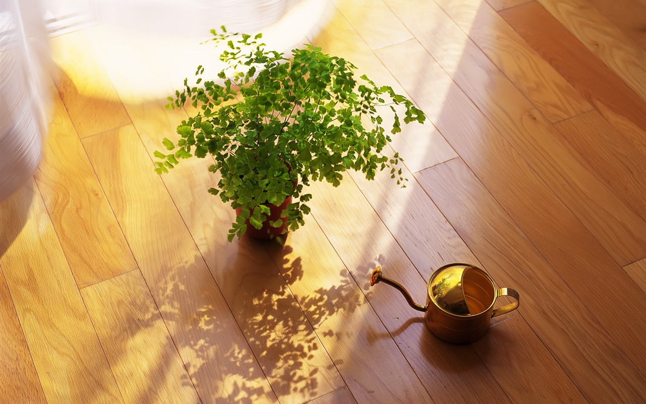 Indoor Still Life Wallpaper Album (2) #8 - 1280x800