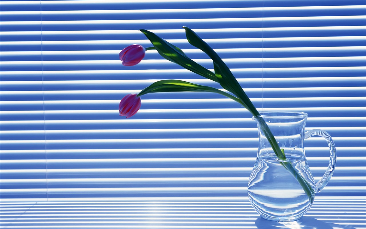 Indoor Still Life Wallpaper Album (2) #15 - 1280x800