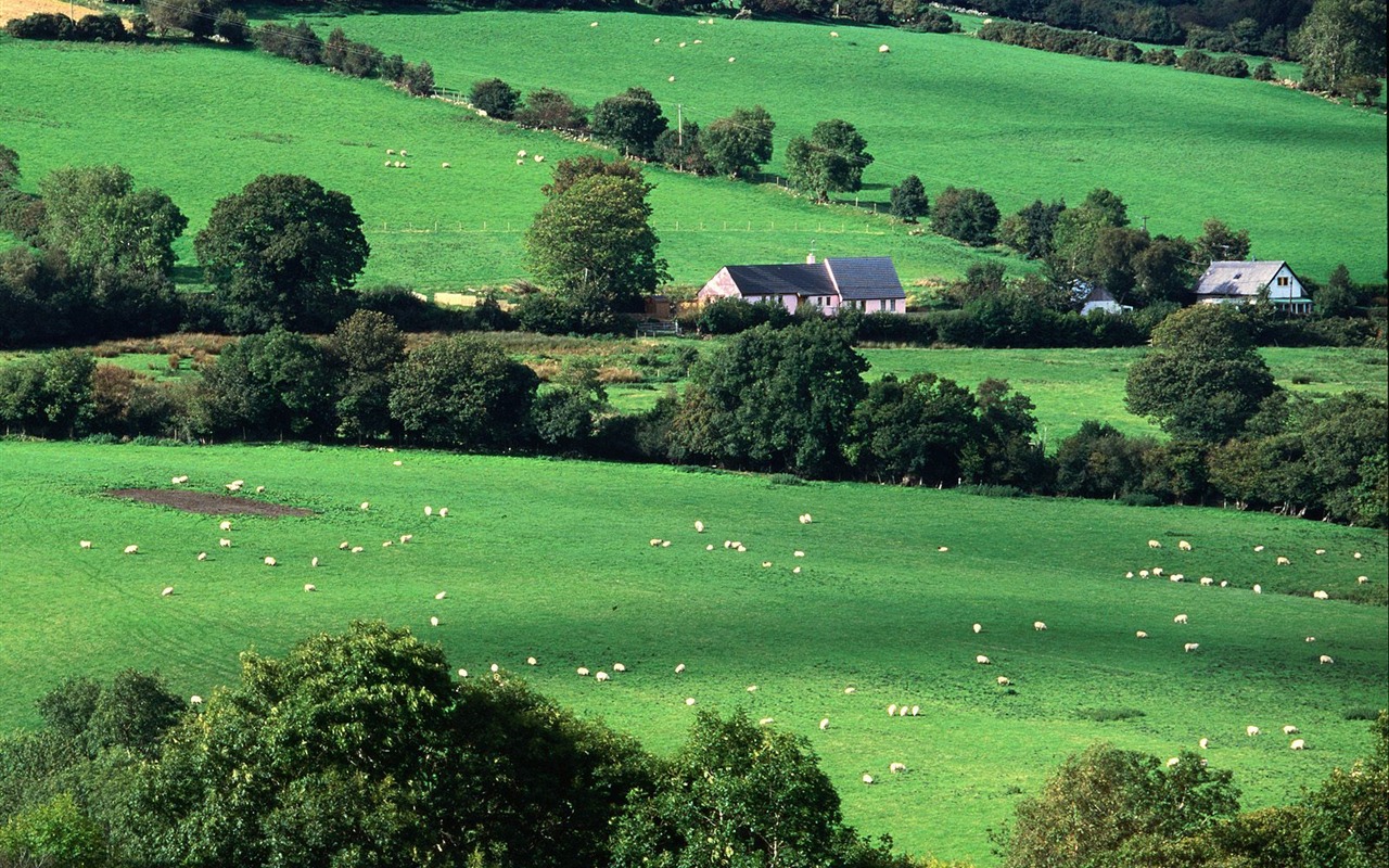 World scenery of Ireland Wallpapers #20 - 1280x800
