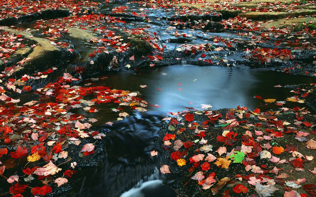 Beautiful natural scenery wallpapers (4) #27 - 1280x800