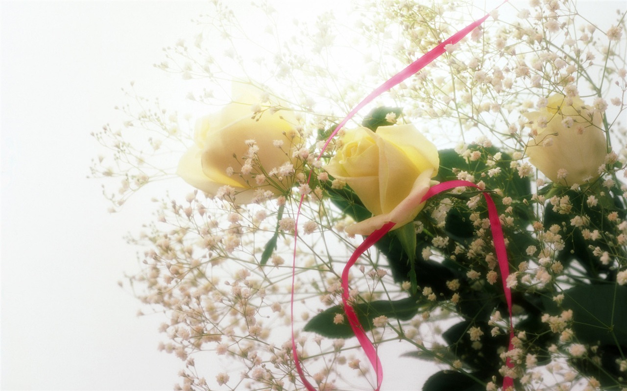 웨딩 꽃 항목 월페이퍼 (1) #7 - 1280x800