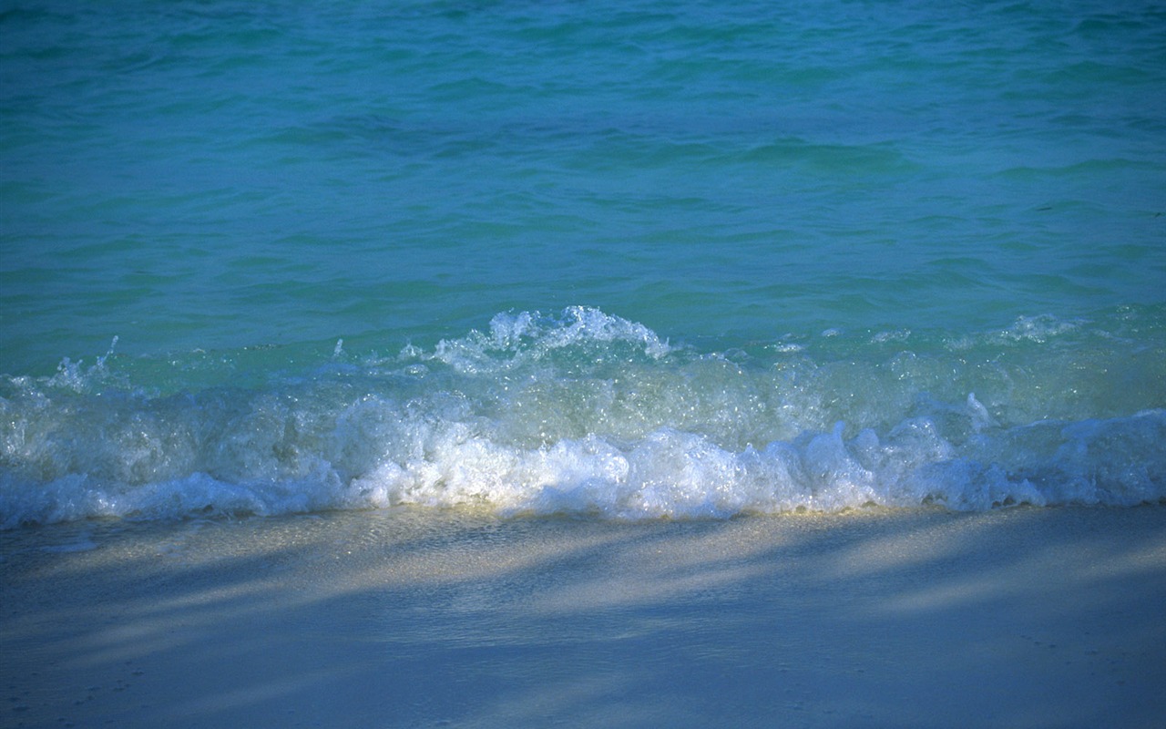 海濱風光壁紙專輯 #13 - 1280x800