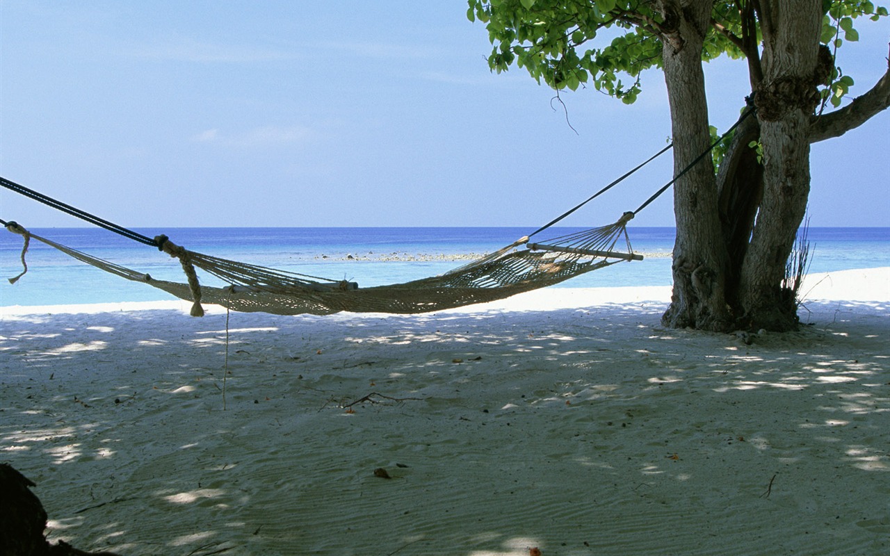 Beach scenery wallpaper albums #29 - 1280x800