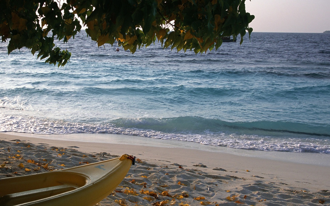 海濱風光壁紙專輯 #32 - 1280x800