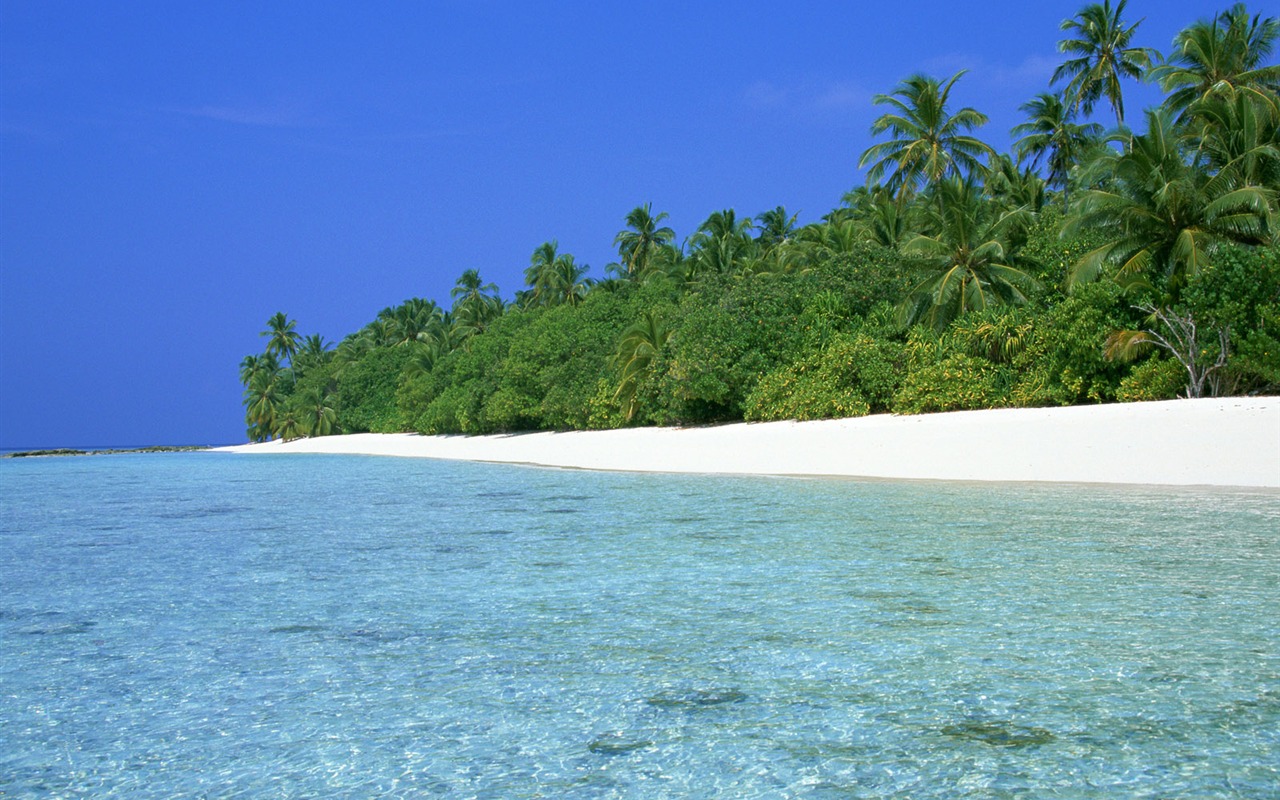 海濱風光壁紙專輯 #34 - 1280x800