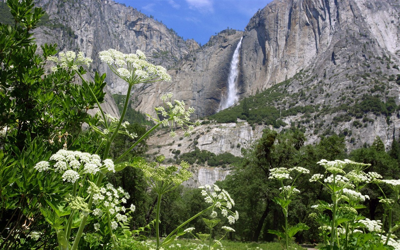 Webshots Scenery Wallpapers (7) #6 - 1280x800