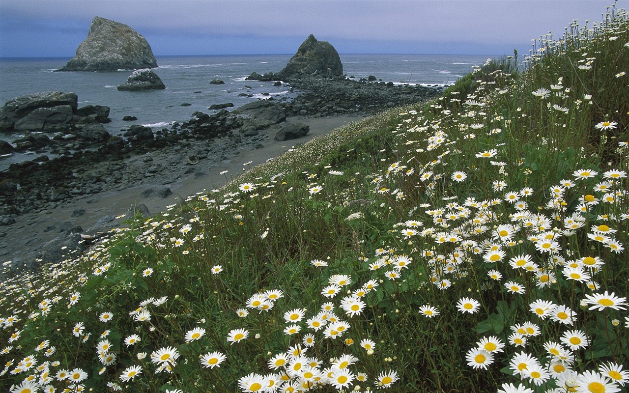 Webshots Scenery Wallpapers (7) #7 - 1280x800