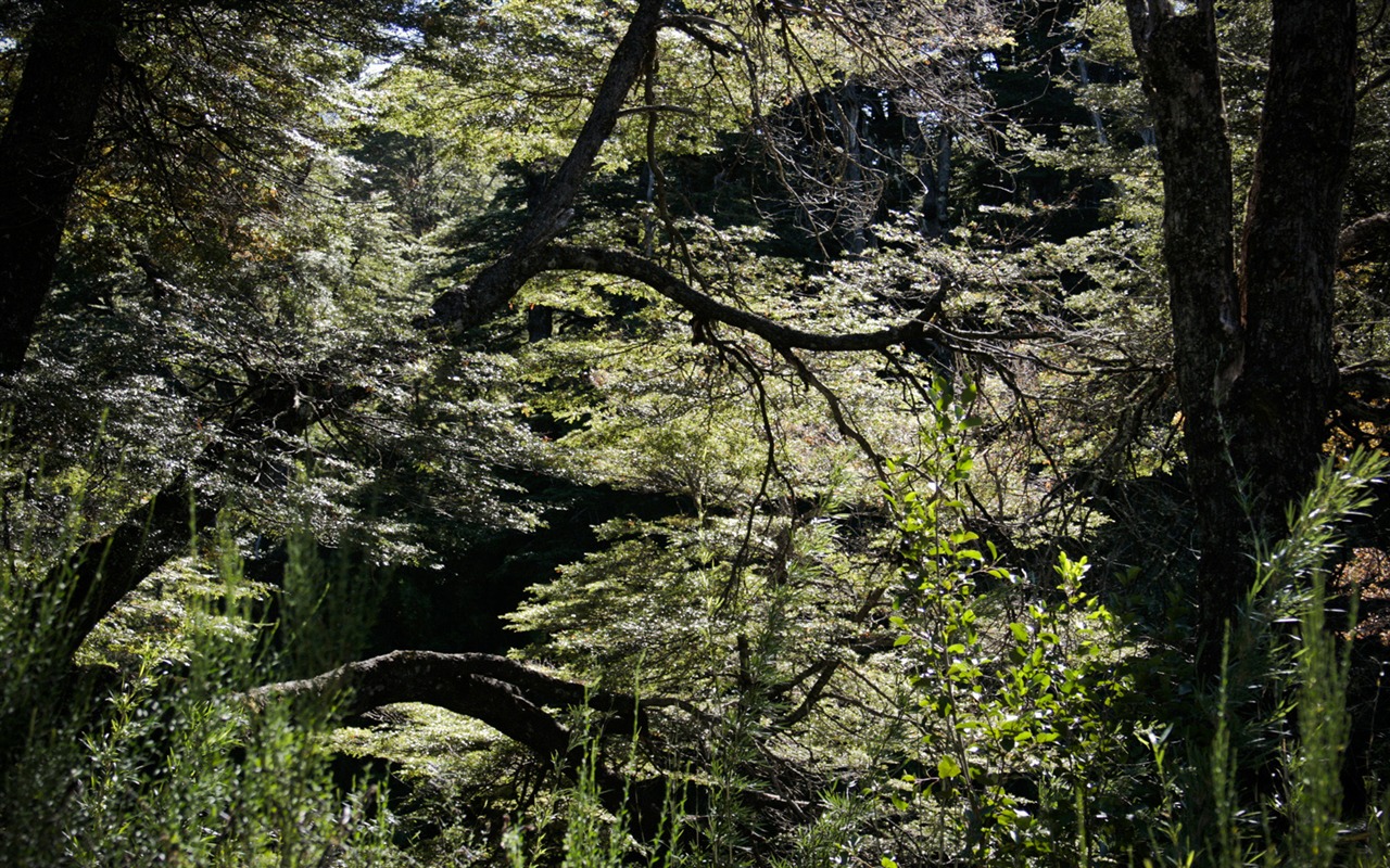 Patagonia natural scenery Wallpaper #8 - 1280x800