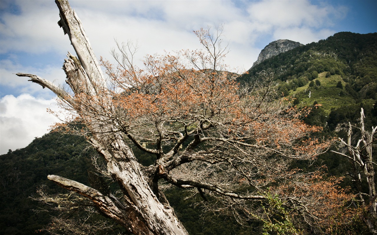 Patagonia 自然風光壁紙 #20 - 1280x800