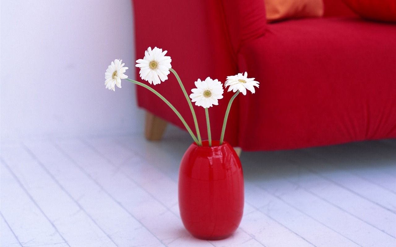 Indoor Still Life Wallpaper Album (4) #1 - 1280x800