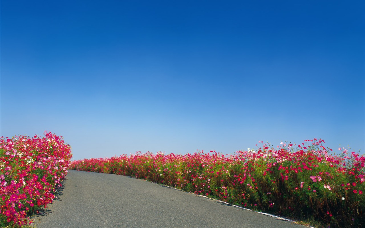 道路寫真壁紙 #19 - 1280x800