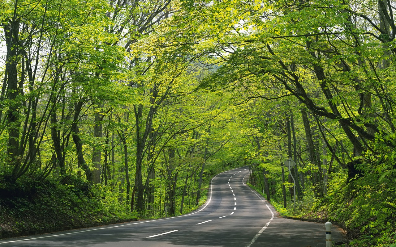 道路写真壁纸33 - 1280x800