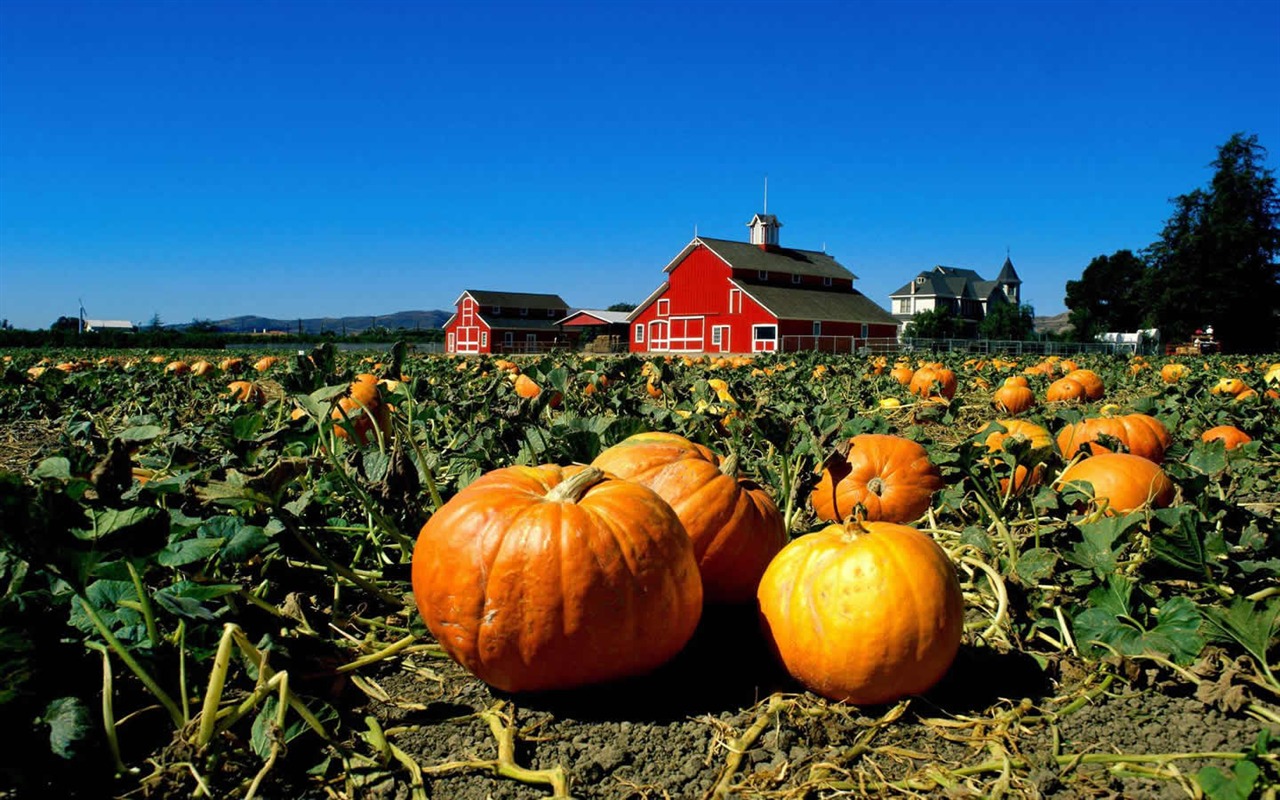 HD Landscape Wallpapers #1 - 1280x800