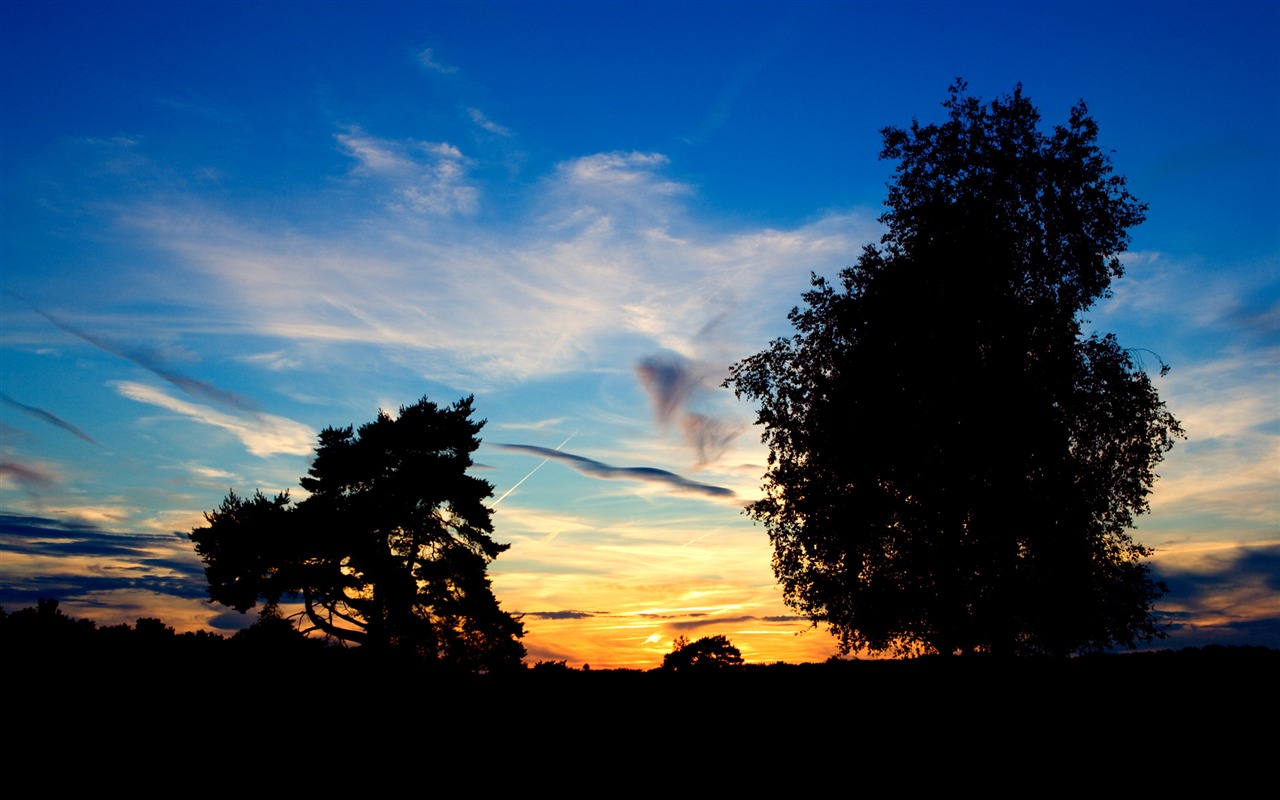 záře slunce HD skvělé tapety (1) #1 - 1280x800