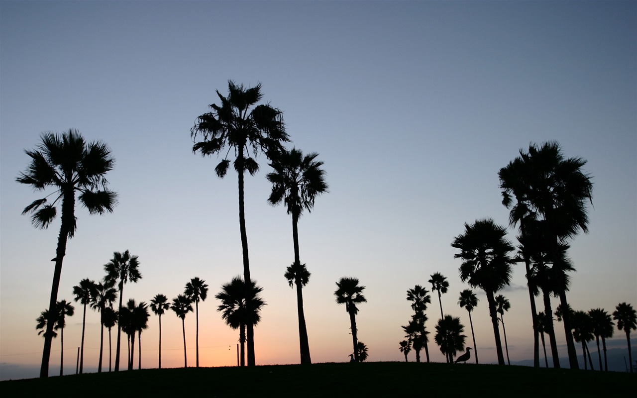 Glow of sunset HD exquisite wallpaper (1) #4 - 1280x800