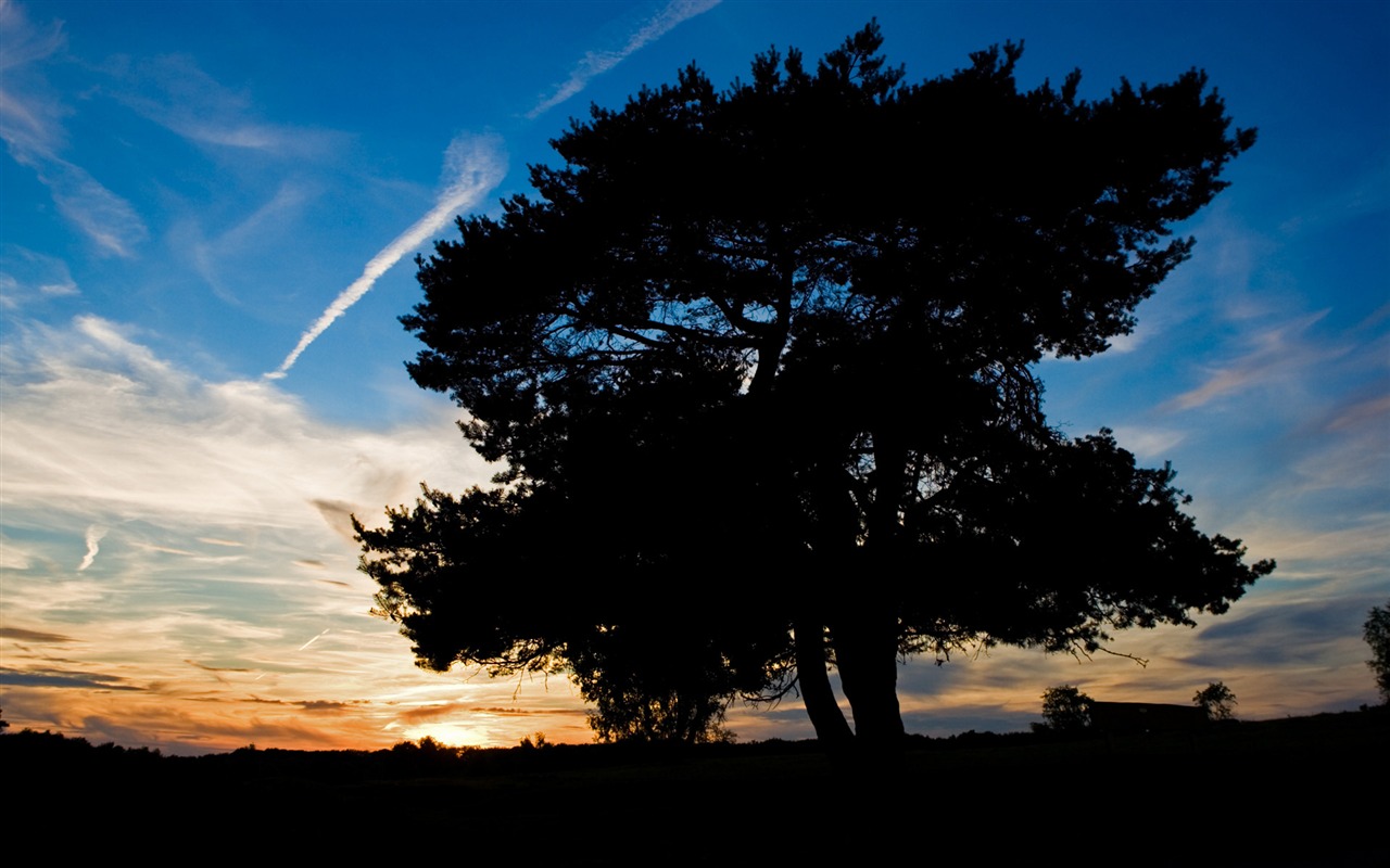 Glow of sunset HD exquisite wallpaper (1) #20 - 1280x800