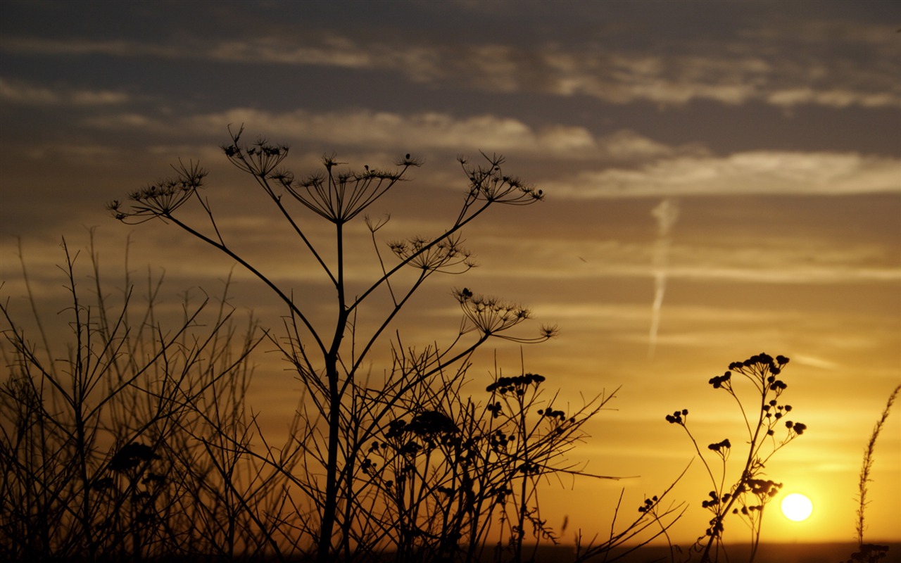 Glow du coucher du soleil HD Wallpaper exquise (1) #30 - 1280x800