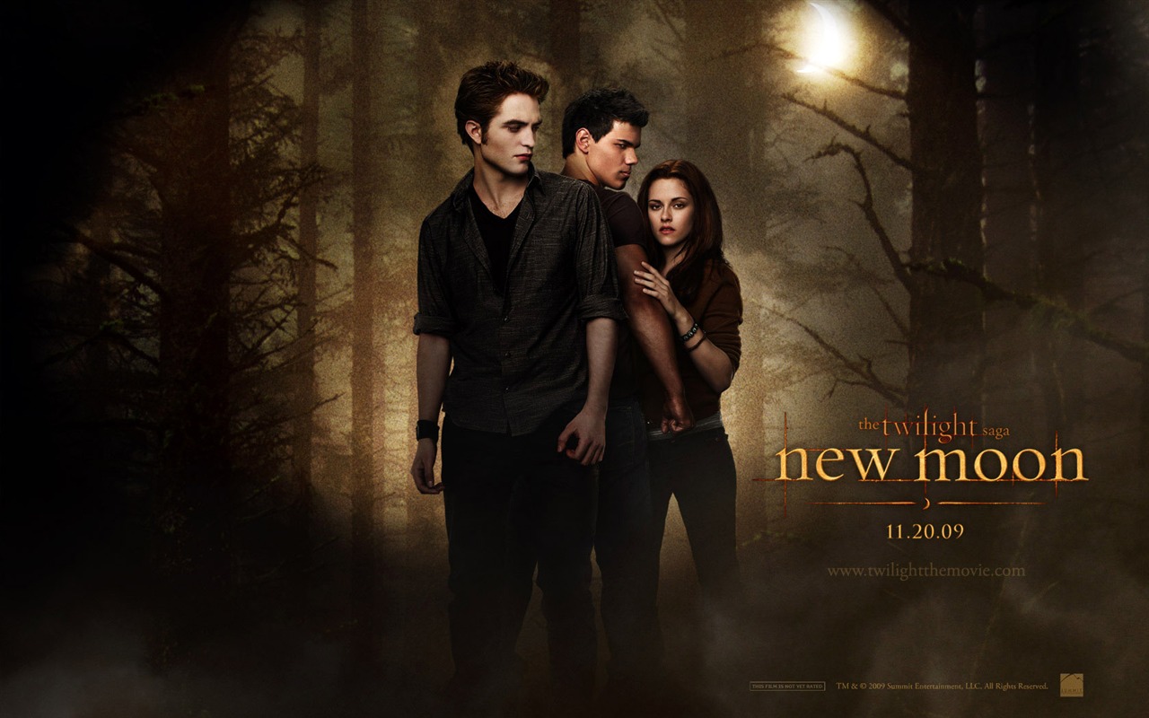 Saga Twilight: New Moon wallpaper album (1) #4 - 1280x800