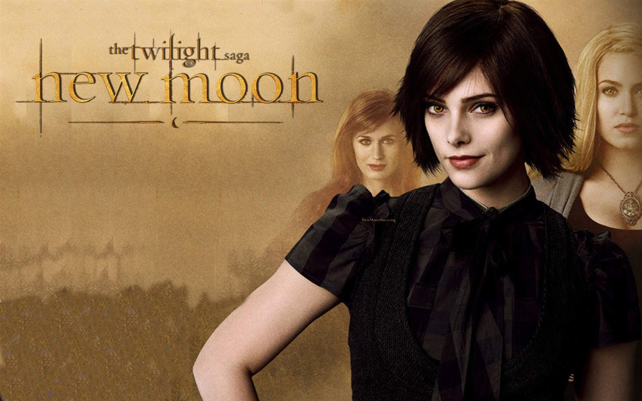 Saga Twilight: New Moon wallpaper album (1) #7 - 1280x800