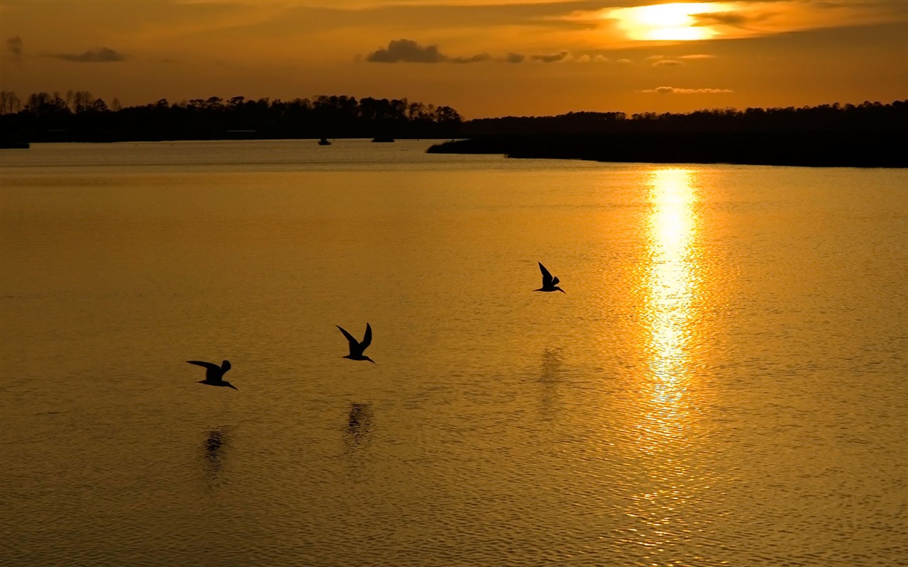 záře slunce HD skvělé tapety (2) #25 - 1280x800