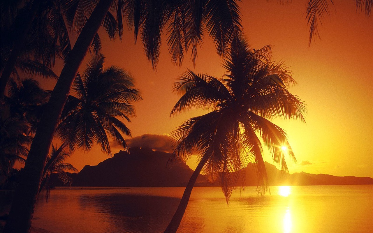 Webshots Scenery Wallpapers (8) #15 - 1280x800