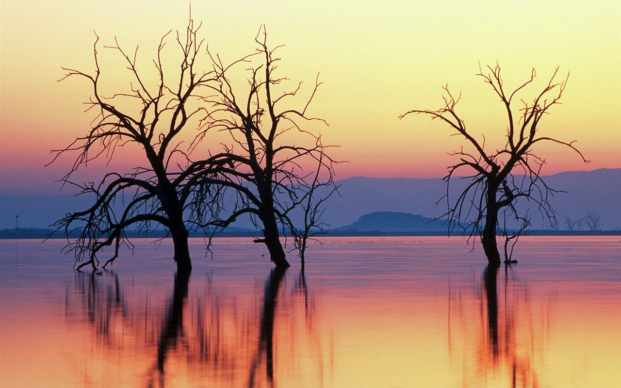 Webshots Scenery Wallpapers (8) #20 - 1280x800