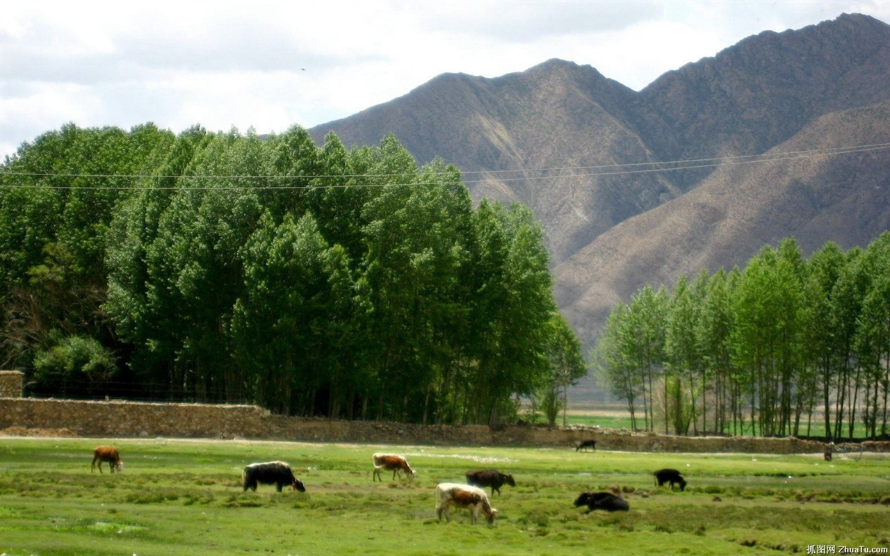 Tibet Landschaft Tapeten Alben #13 - 1280x800