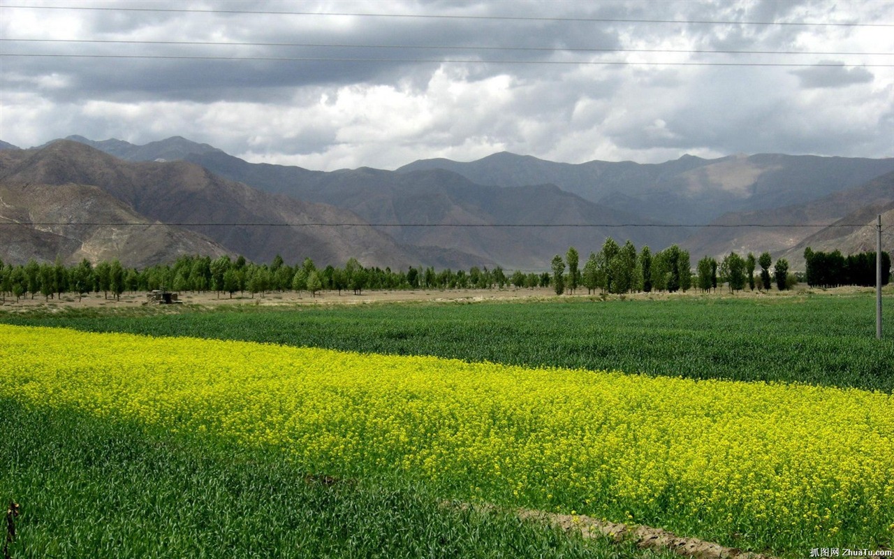 Tibet Landschaft Tapeten Alben #17 - 1280x800