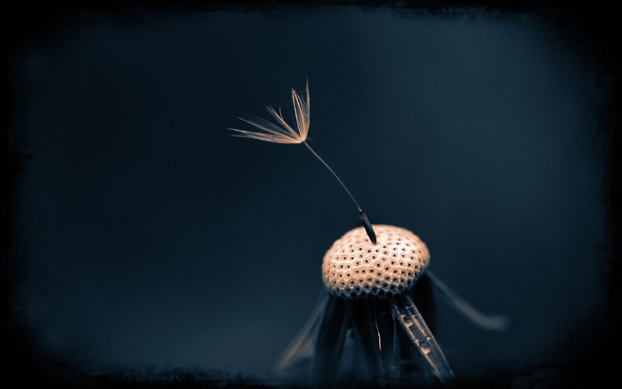 With the beat of natural scenery wallpaper #19 - 1280x800
