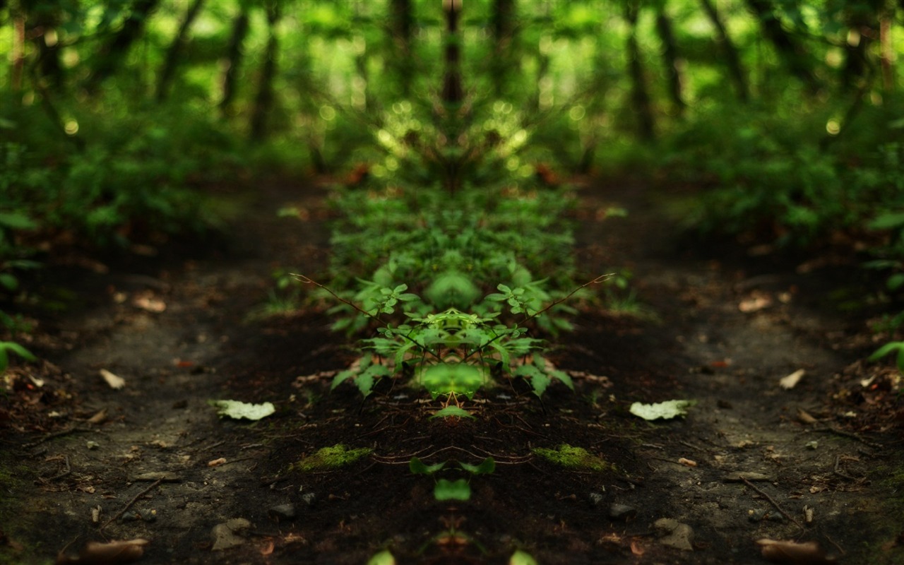 自然隨拍風景壁紙 #27 - 1280x800