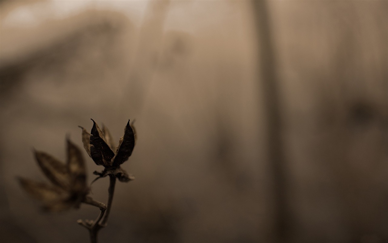 Mit dem Schlag der natürlichen Landschaft Tapeten #29 - 1280x800