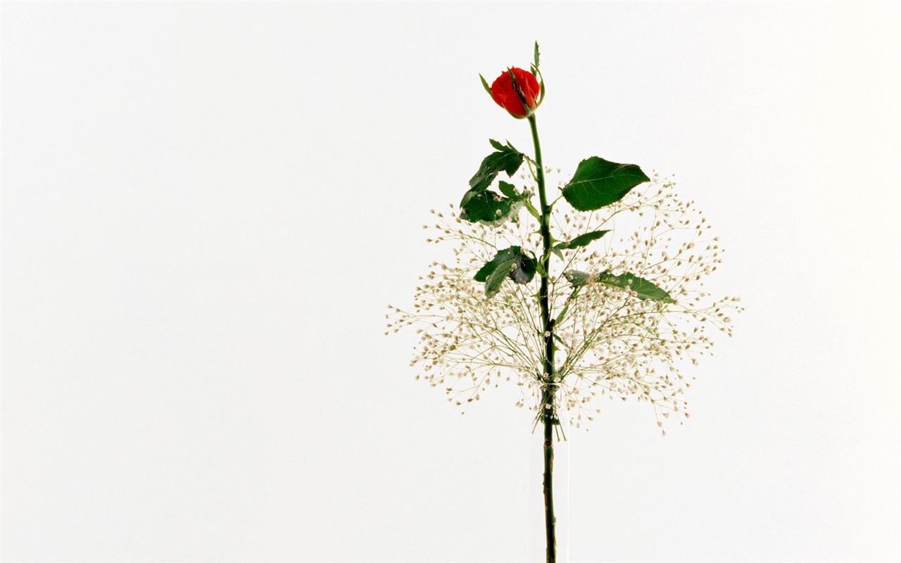 Art Photo Wallpaper (3) #8 - 1280x800