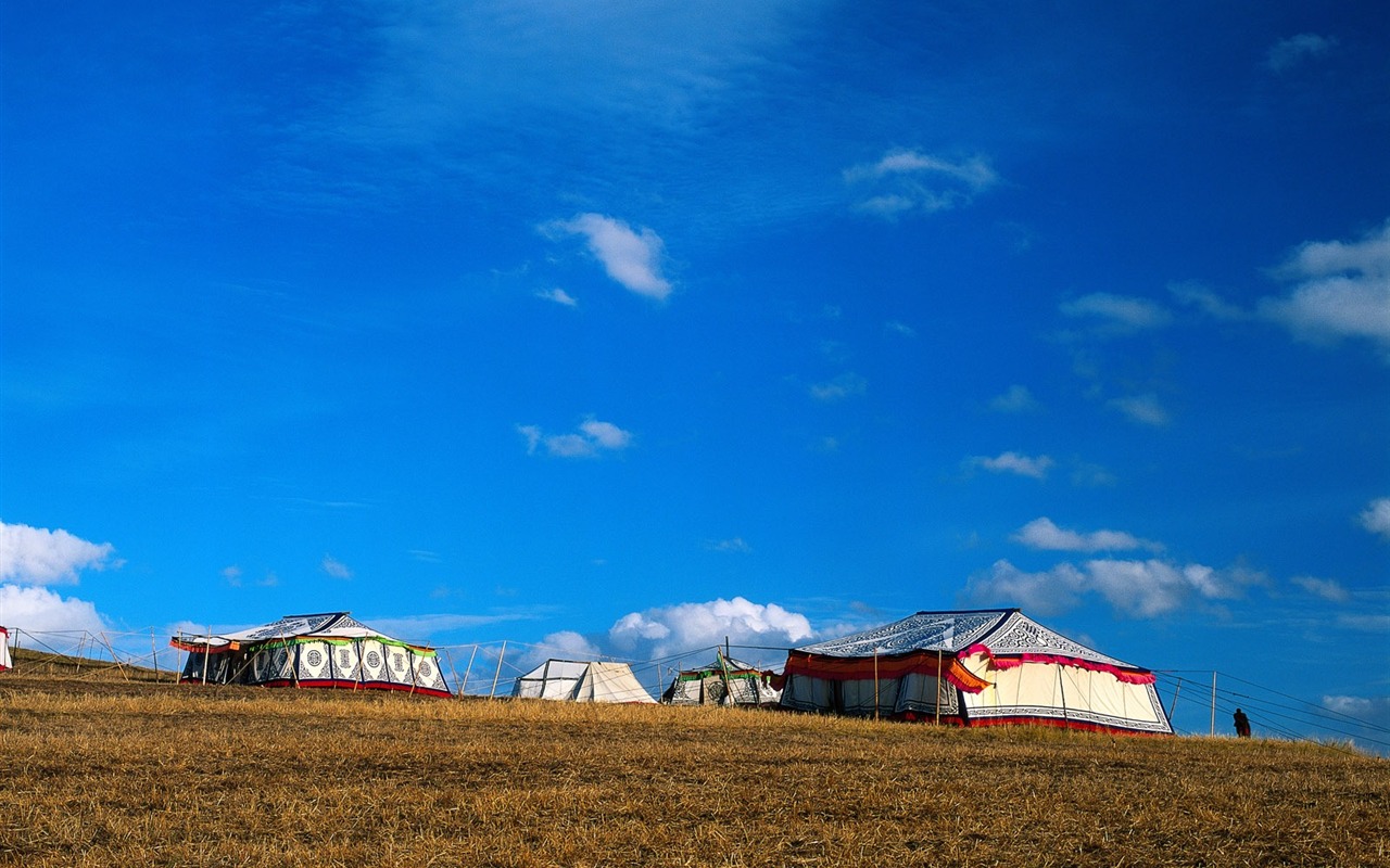Picturesque wallpaper #2 - 1280x800