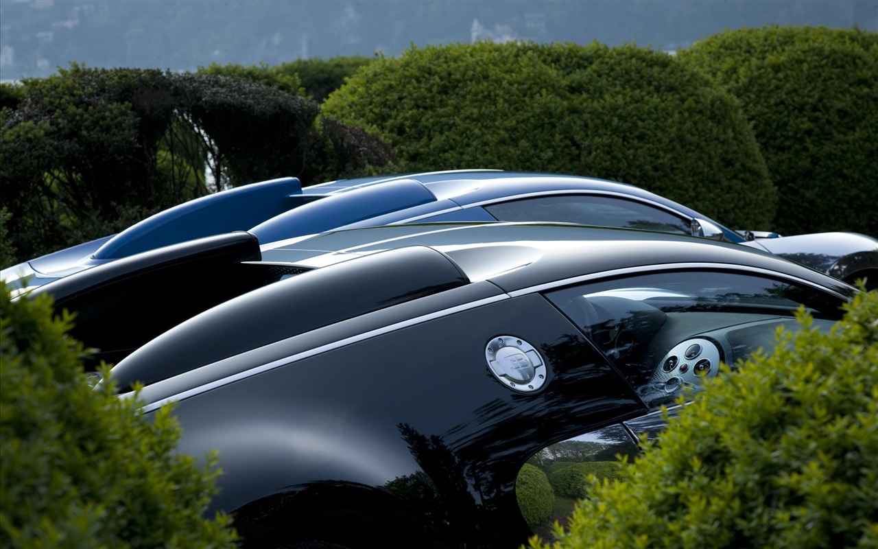 Bugatti Veyron 布加迪威龙 壁纸专辑(二)16 - 1280x800