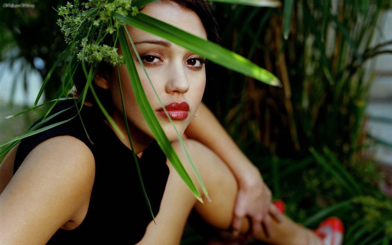 Jessica Alba krásnou tapetu (3) #1 - 1280x800