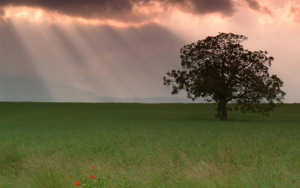 Fondos de escritorio dinámico del Paisaje #24 - 1280x800