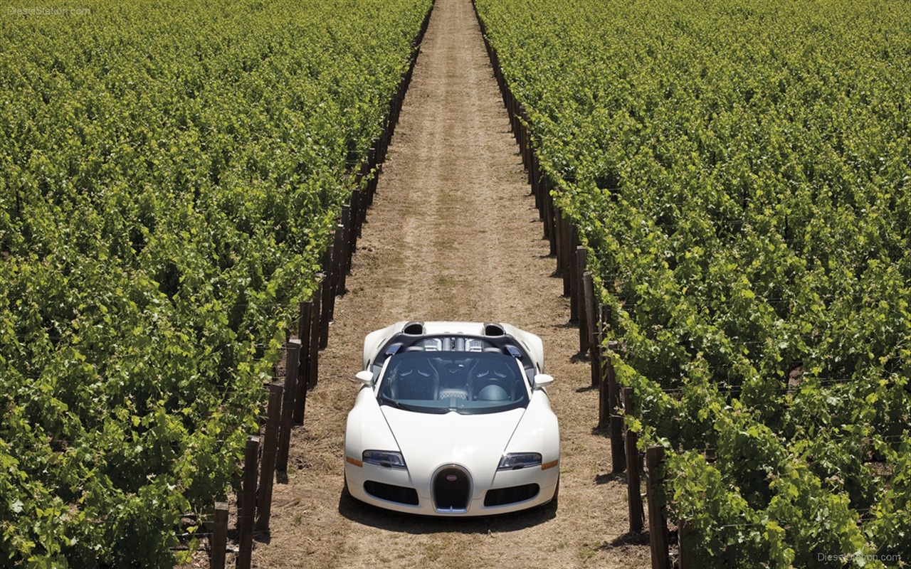Album Bugatti Veyron Fond d'écran (3) #3 - 1280x800