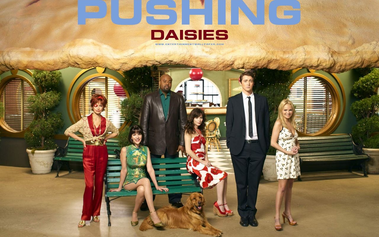 Pushing Daisies 灵指神探10 - 1280x800
