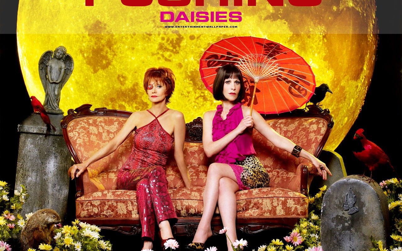 Pushing Daisies Tapete #13 - 1280x800