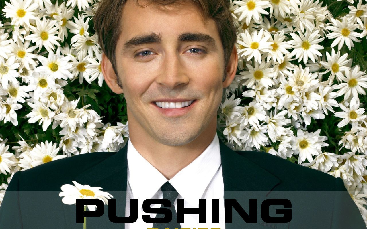 Pushing Daisies wallpaper #20 - 1280x800