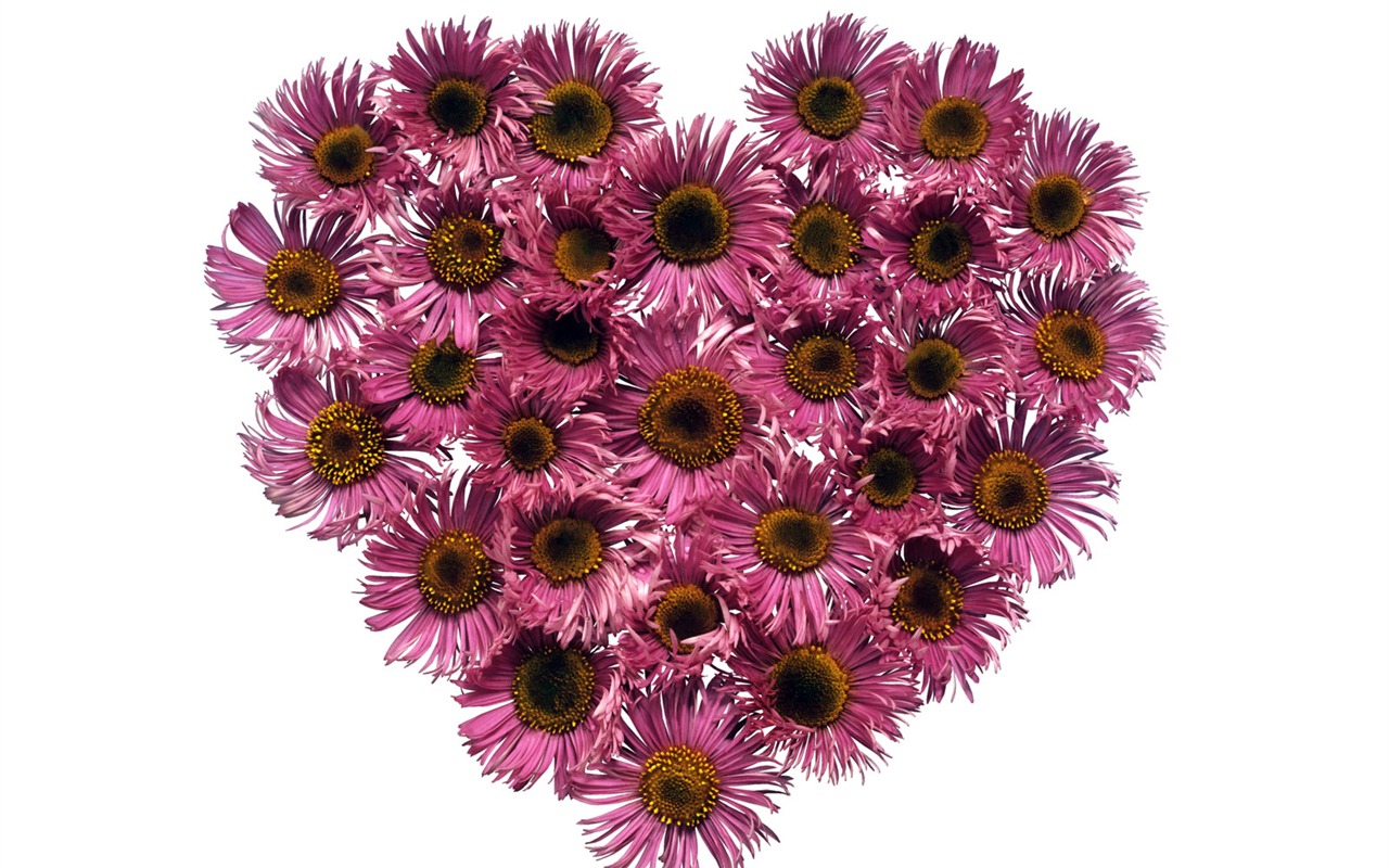 Love heart wallpaper album (4) #5 - 1280x800