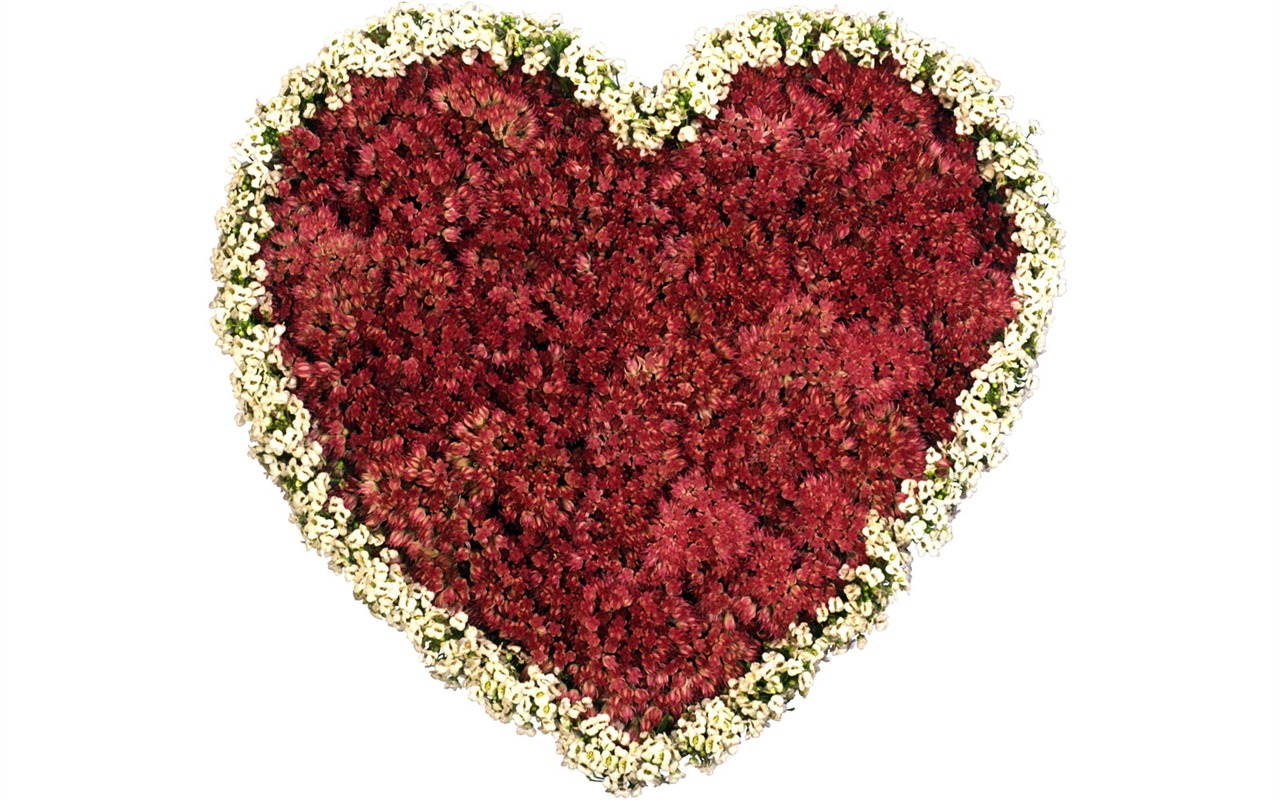 Love heart wallpaper album (4) #10 - 1280x800