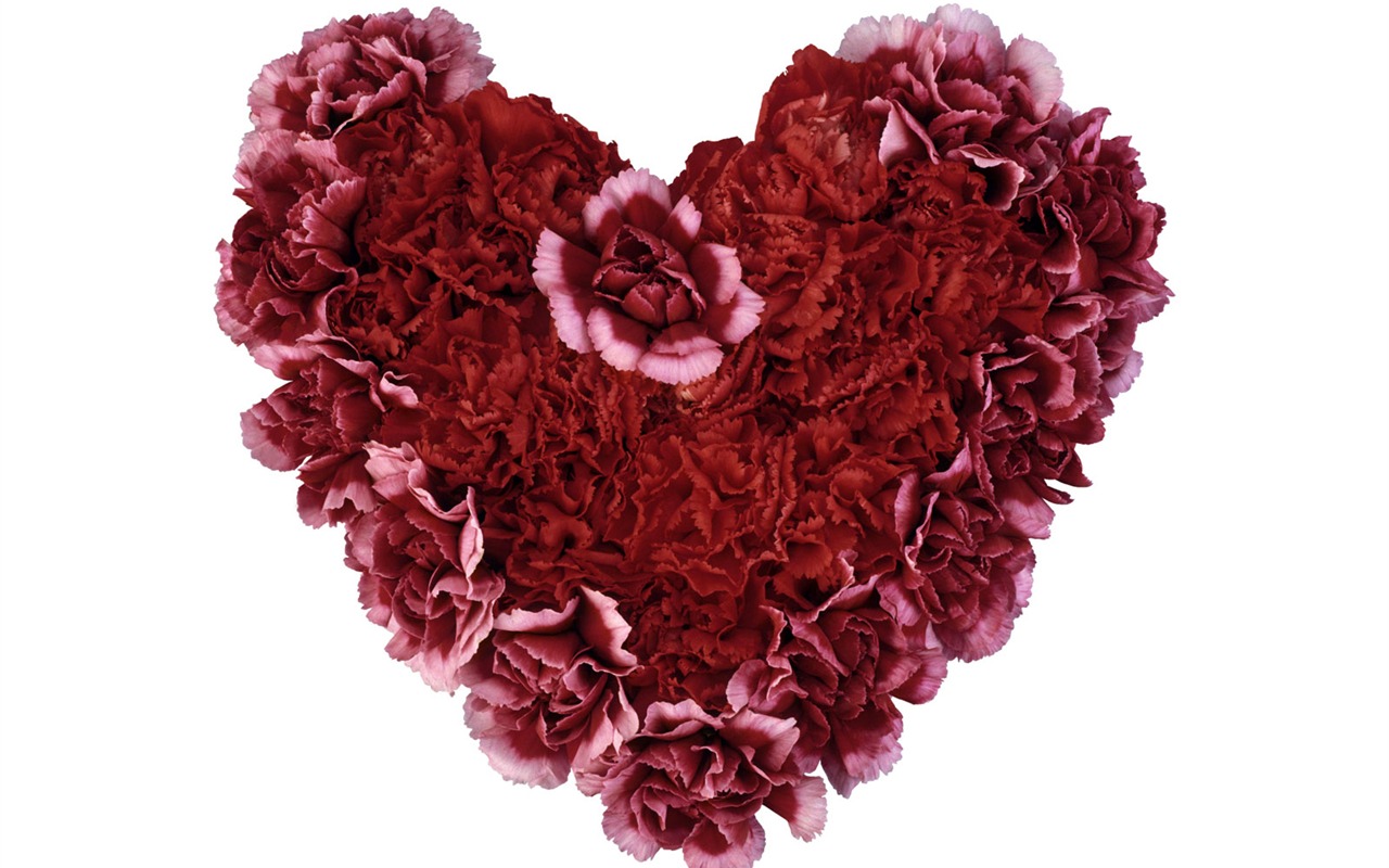Love heart wallpaper album (4) #19 - 1280x800