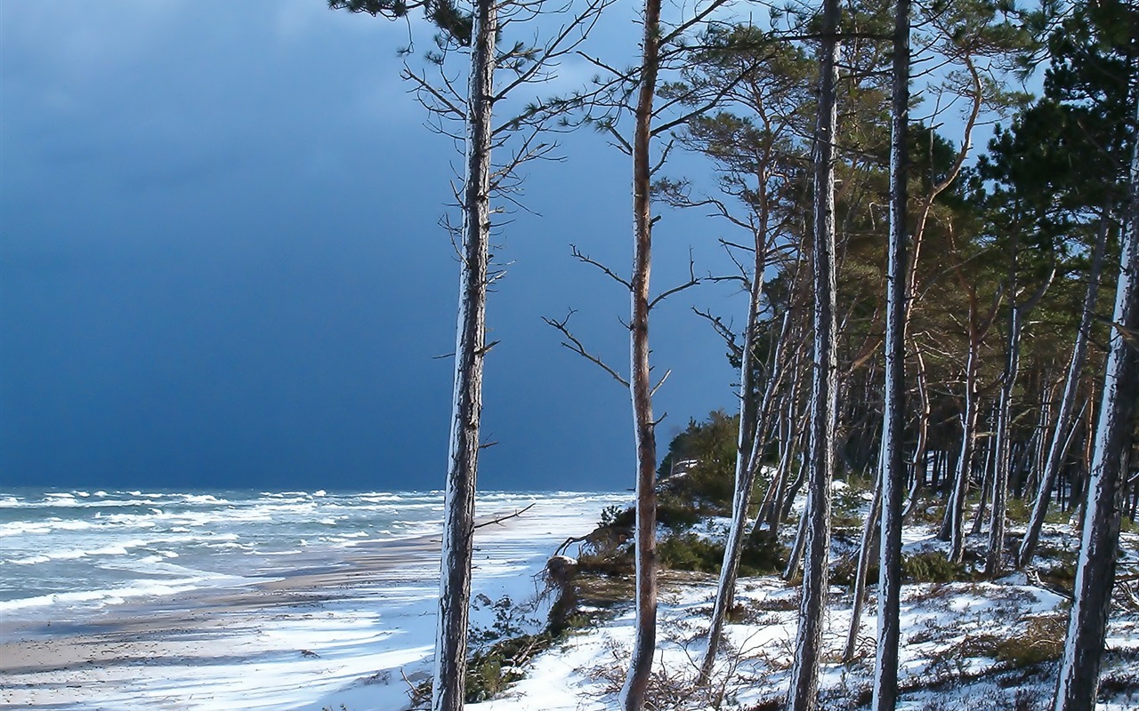 Kouzelný svět krásná tapeta #2 - 1280x800