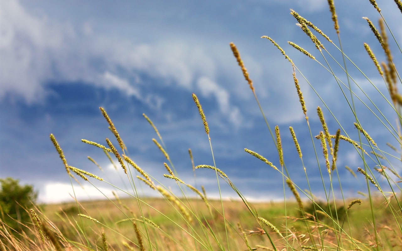 Wonderful world beautiful wallpaper #5 - 1280x800