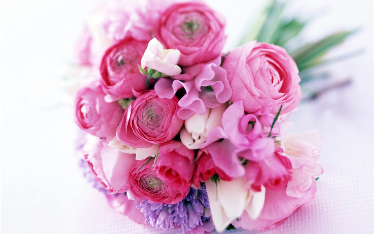 Flowers close-up (23) #14 - 1280x800