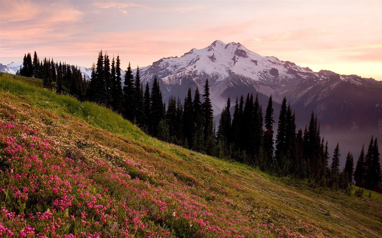 Webshots Scenery Wallpapers (10) #2 - 1280x800