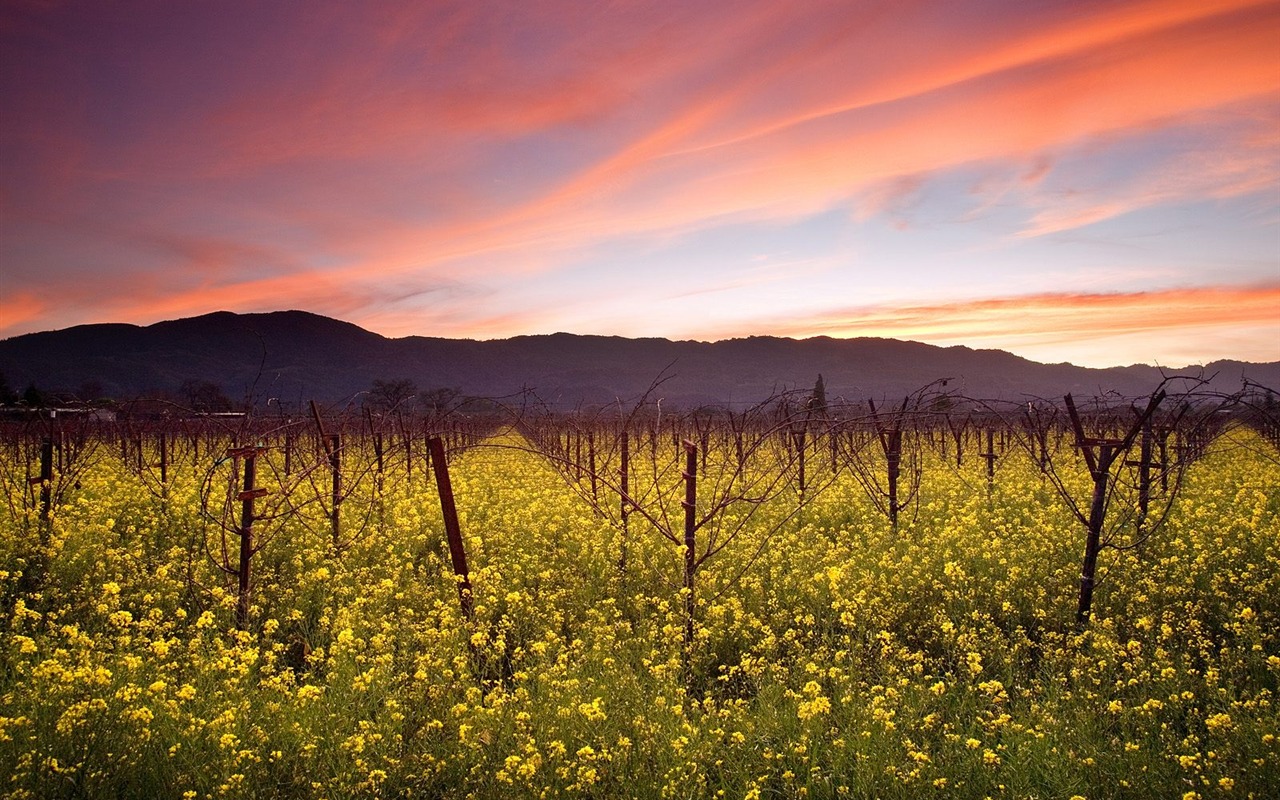 Webshots Scenery Wallpapers (10) #8 - 1280x800