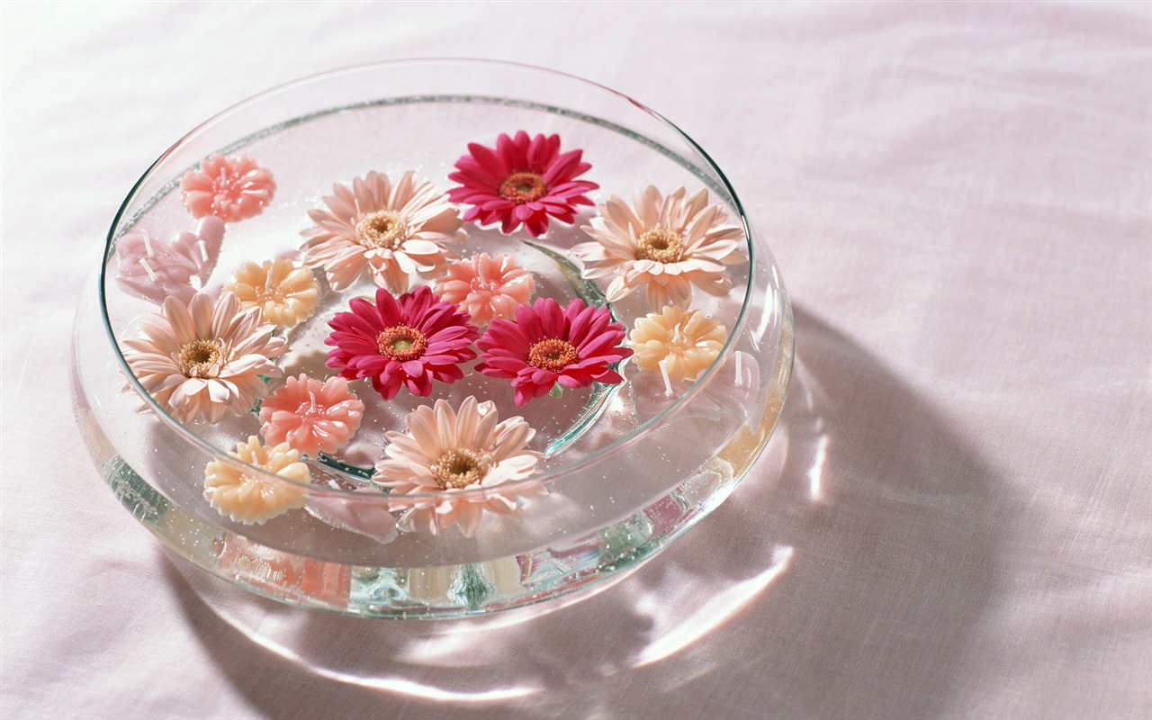 Flowers Widescreen Wallpaper #20 - 1280x800